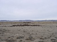 Desert Station looking east  Desert Station looking east